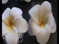 How to make Plumeria/ Frangipani gum paste blossoms