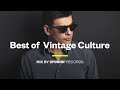 Best of Vintage Culture - Vintage Culture Mix 2022