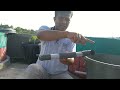 How to Make an Aquaponic Fish Pond Filter: How To Easily Make An Aquaponic Fish Filter