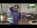 Empang pemancingan harian Ikan Lele Rata Dengan Banjir