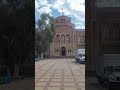 #UCLA Walk on campus.....beautiful