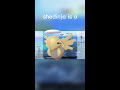 This ability makes Shedinja a god...