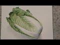 How to painting Chinese cabbage with watercolor@Sun’s art studio