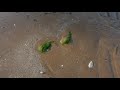 beach scan - ND32 filter - 4k60 - hypersmooth ON