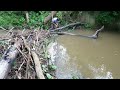 Removing a Beaver Dam from the discharge side of a large culvert