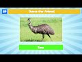Guess the Animal Quiz | 101 Animals Quiz