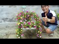 Make Amazing Chair Portulaca (Moss) Flower Pots from Recycling Plastic Bottles for Small Garden