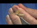 Tying a Tan Caddis Dry Fly with Davie McPhail