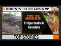 Tiger Crisis in Madhya Pradesh: 27 Deaths in 6 Months | News9