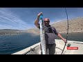 Saltwater Safari #7: MEGA BARRACUDA FISHING in GREECE!