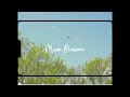 [Playlist] 5월의 싱그러운 낭만을 담아ㅣBGMㅣ빈티지 로맨틱ㅣLoFi R&BㅣMUSIC BY MUSEBLOSSOM