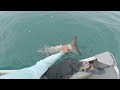 Jigging for Big King Salmon on Lake Ontario