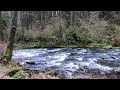 Unwind With Soothing Stream Sounds #riversounds #watersounds #relax #naturesounds