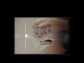 My Plea (Candy Bars) - Jack Stauber (CapCut audio/Slowed edit audio/Credit if use)