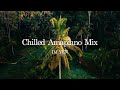 Chilled Amapiano DJ Mix ｜Soulful Amapiano (Kelvin Momo, MFR Souls, Kabza De Small, Gaba Cannal...)