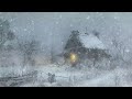 Fierce Snowstorm At The Old Wooden House - Frosty Mountain Wind Sounds for Deep Sleep