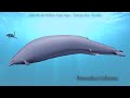 Extinct Marine-Species Vocalization Study