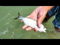 Fishing from the Jersey Shore - Surf fishing for snappers