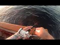 Limits of BlueFin Tuna on Aztec Sportfishing Nov 1-4, 2023 3-day trip