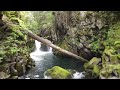 A Selection of Falls from Southern Oregon