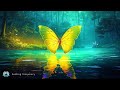 If this video appears in your life - you are ready for love, wealth and blessings - butterfly effect