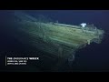 Deep-Sea Food Falls | A Tale of Wood and Bone