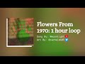 Flowers from 1970 by Moonlight || 1 Hour Loop