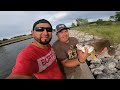 Pescando gigantes mojarras blancas