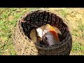 Fishing Video || The village boy showed the great technique of fishing with few materials