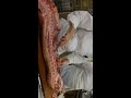 Butchering a lamb part 1