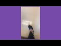 Random video of me going down the stairs of my school