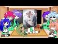 saiki k react to y/n as columbina genshin impact | lazy | boring | short |