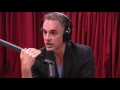 Jordan Peterson Explains the Male Dominance Hierarchy - The Joe Rogan Experience