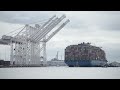 Timelapse video: Ship that caused Baltimore bridge collapse returned to port