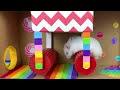 🐹 PRO Hamster Escapes Awesome Prison Maze 🐹 Hamster Story