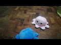 The cute Octopi channel! Starting a series of short vlogs of the octopi!