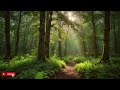 🌲🎶 Enchanting Forest Retreat: Relaxing Music for Peaceful Escapes 🍃