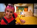 Kids play with dolls & Mommy for Lucky! Toy slide & ball pit. Family fun video.