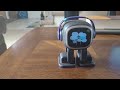 Playing Tic Tac Toe With EMO  #EMO #AI The Desktop Pet- GO SLOW