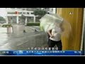 亞洲電視 -- 澳門有的士趁打風大幅提高車費 ( 2013-08-14 )