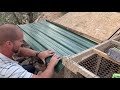 DIY Duck House- Building On a Budget