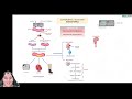 Diabetes Mellitus | Clinical Medicine