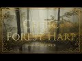 1 Hour of Relaxing Celtic Forest Harp