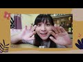 [大學生存指南 Q&A 🧭] 看不起ASSO後門狗? 日日落老蘭? 給DSE考生打打氣!!!!🔥 Ft. 肥姨姨