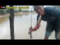 mancing ikan gabus di spot yang belum terjamah.strek bertubi-tubi!!!.