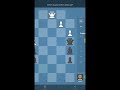 Chess Puzle