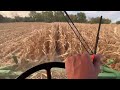 Corn Harvest 2023