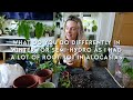 HUGE Spring Repotting Sesh 🪴 Repot With Me + Q&A