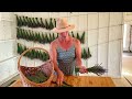 HOW TO HARVEST LAVENDER For Drying | PepperHarrow | Episode 13