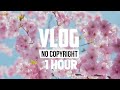 Ikson - Spring (Vlog No Copyright Music) - [1 Hour]